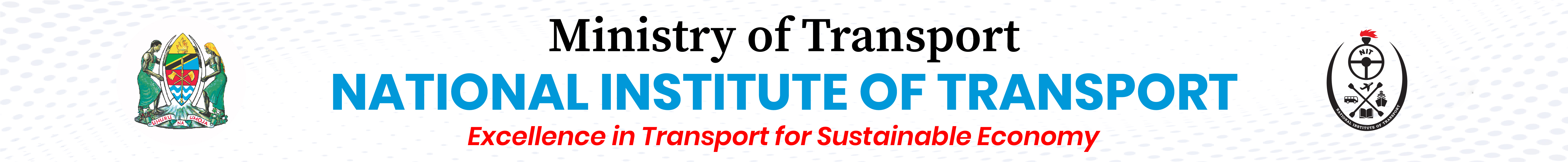 National Institute of Transport - NIT